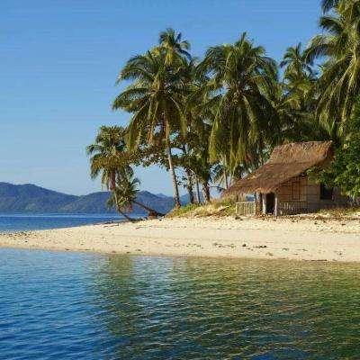 体育皇冠官网下载